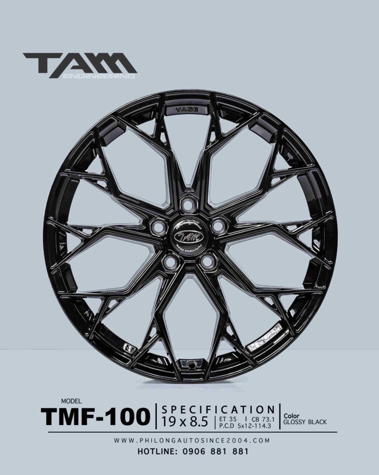 19 TAM TMF 100 (2)